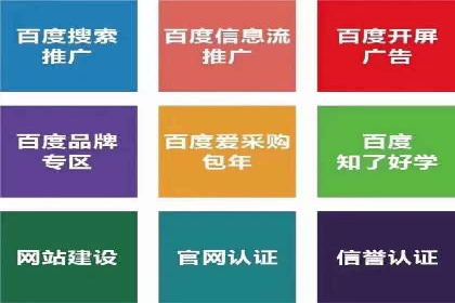 行业经典案例：SEM推广代运营如何助力销售增长